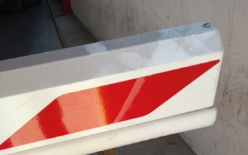Galeria: Bazalia